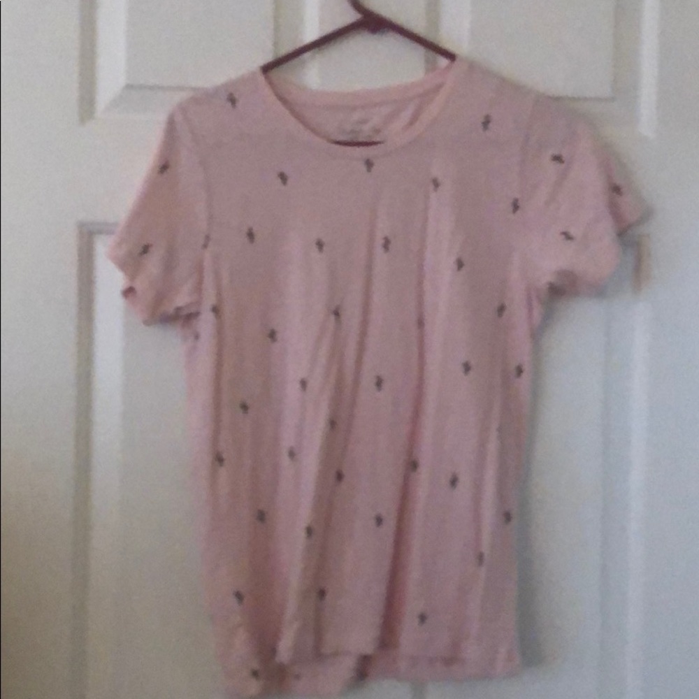 Jcrew factory collectors cactus t shirt